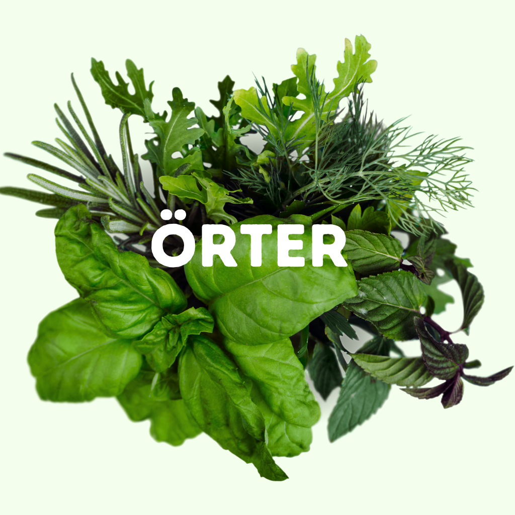 ÖRTER