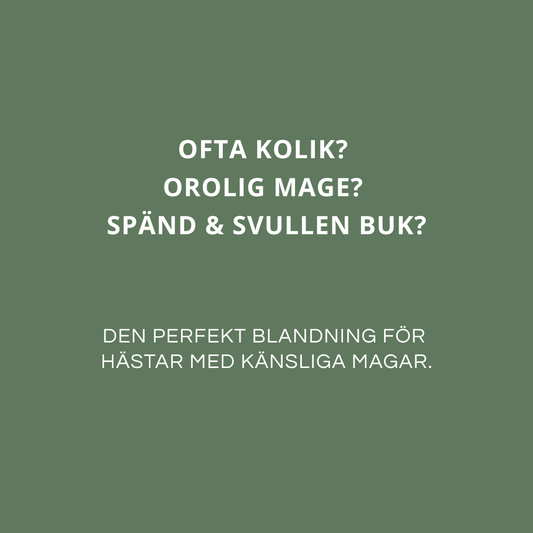HERBAL HERO - För en lugn mage