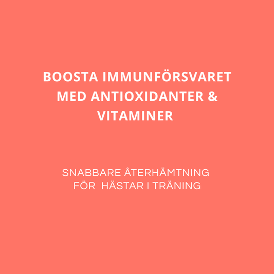 IMMUNE BOOSTER - För en stark & frisk häst