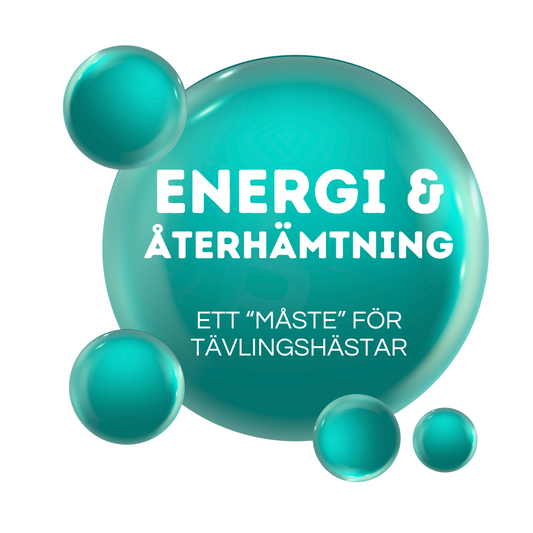ENERGI & ÅTERHÄMTNING - För tävlingshästar