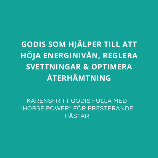 ENERGI & ÅTERHÄMTNING - För tävlingshästar