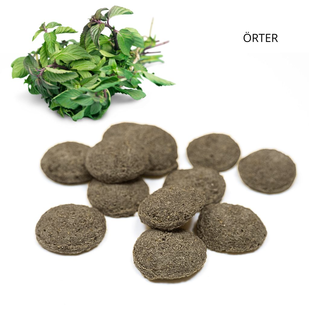 ÖRTER