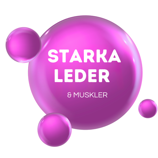 STARKA LEDER & MUSKLER - För uppbyggnad & underhåll