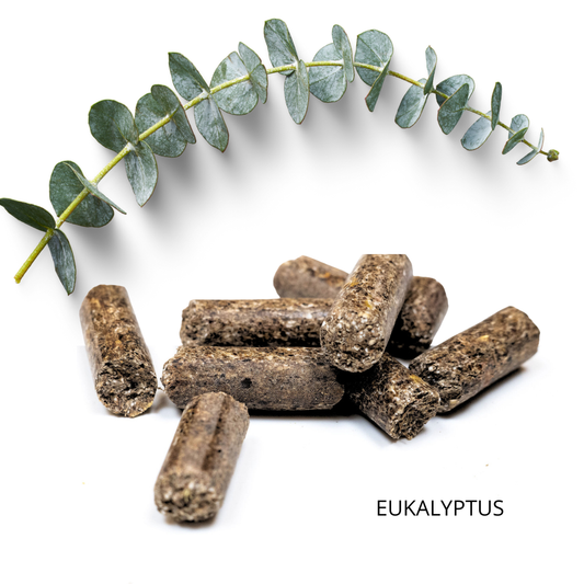 EUKALYPTUS