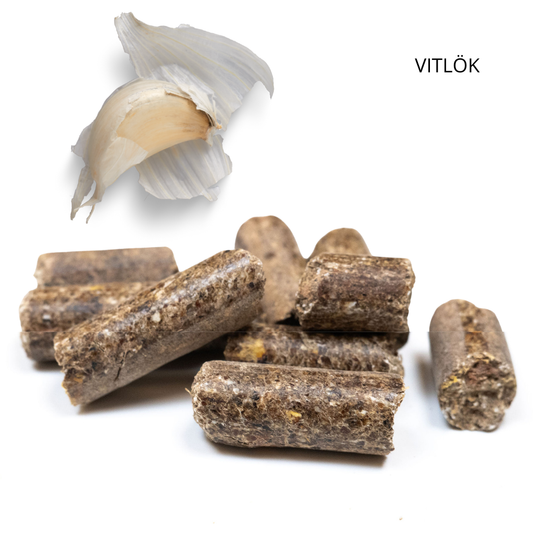 VITLÖK