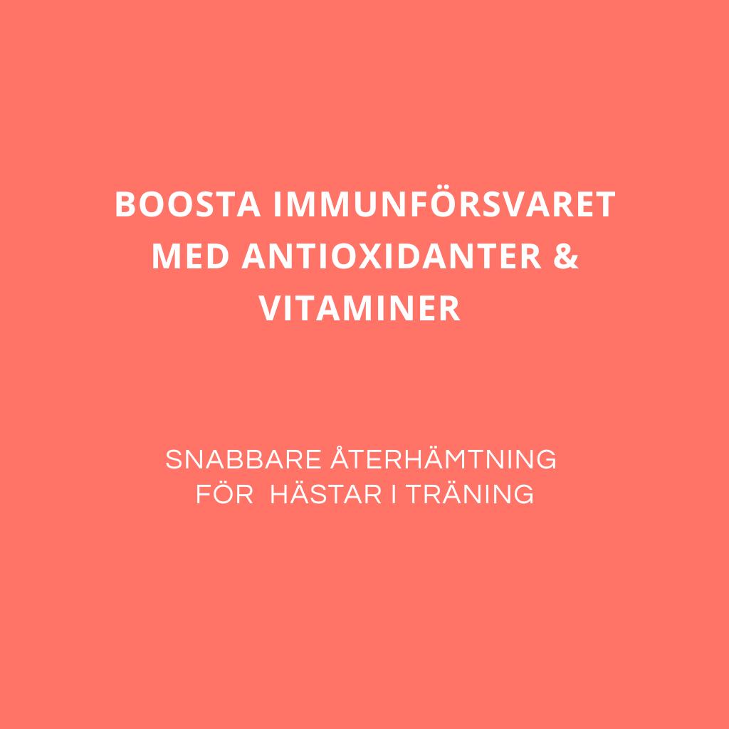IMMUNE BOOSTER - För en stark & frisk häst