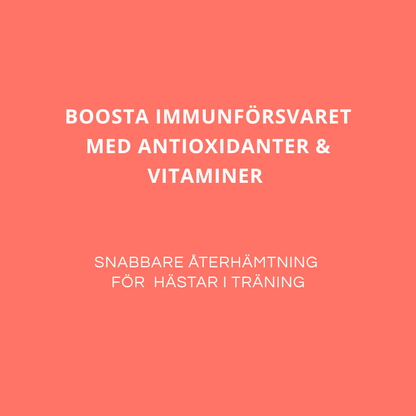 IMMUNE BOOSTER - För en stark & frisk häst