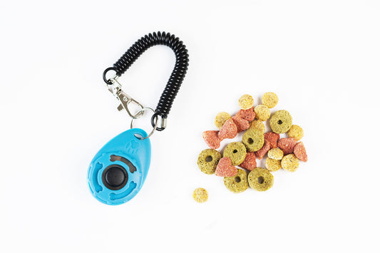 KLICKER | TURKOS