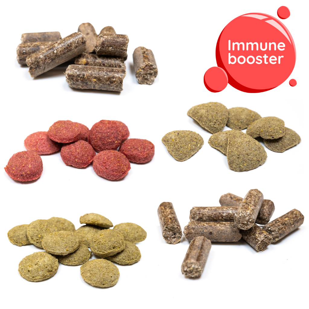 IMMUNE-BOOSTER