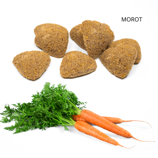 MOROT