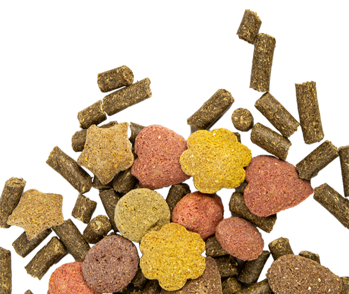 HÄSTGODIS