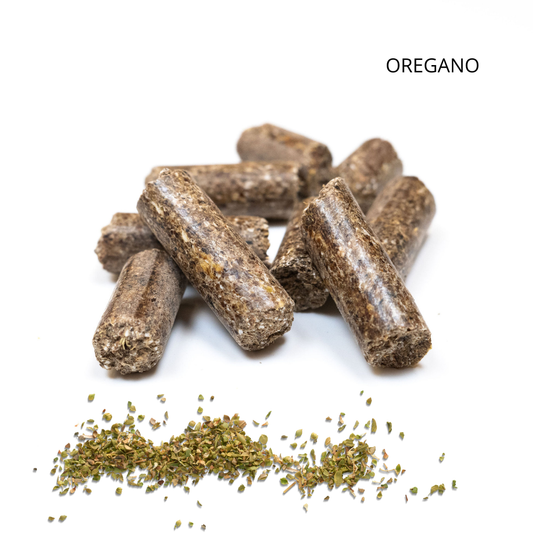 OREGANO