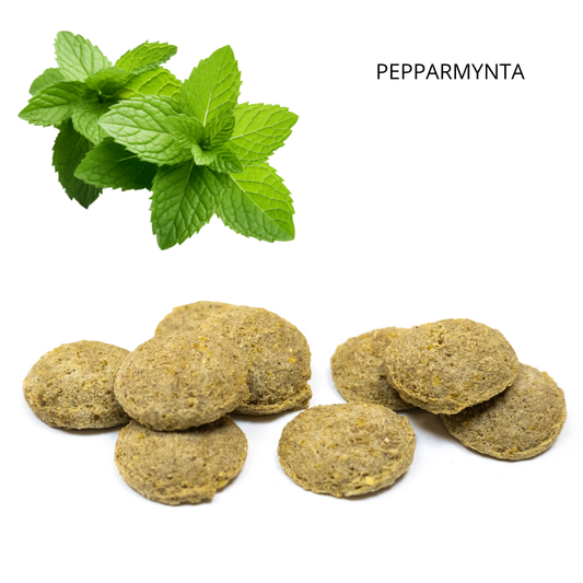 PEPPARMYNTA