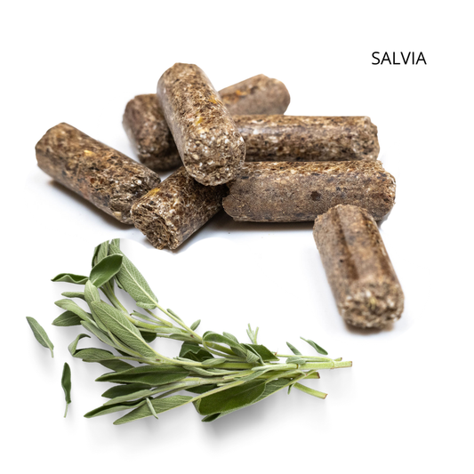 SALVIA