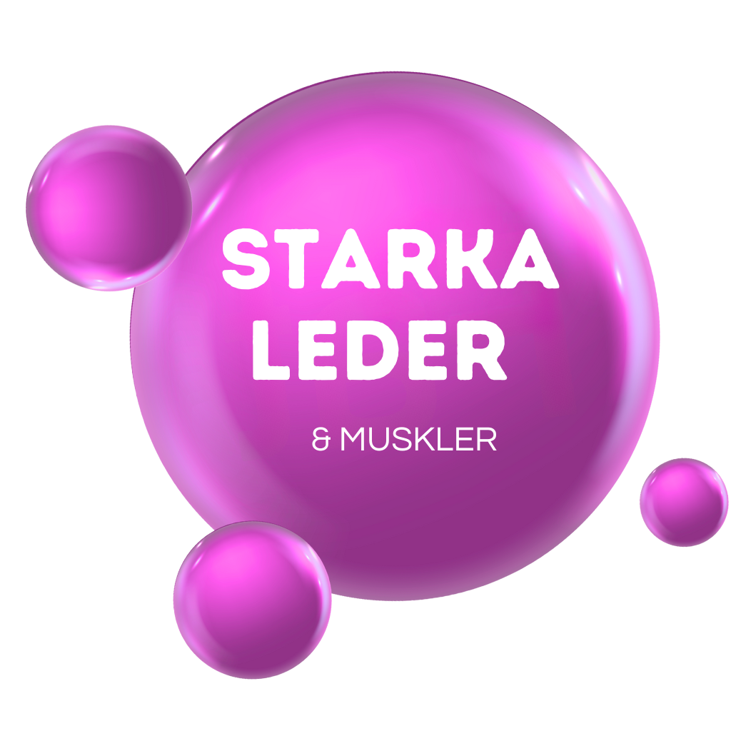 STARKA LEDER & MUSKLER - För uppbyggnad & underhåll