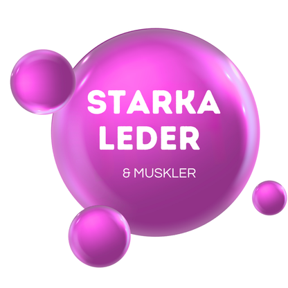 STARKA LEDER & MUSKLER - För uppbyggnad & underhåll