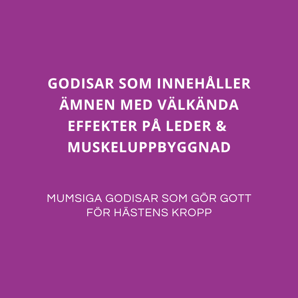 STARKA LEDER & MUSKLER - För uppbyggnad & underhåll