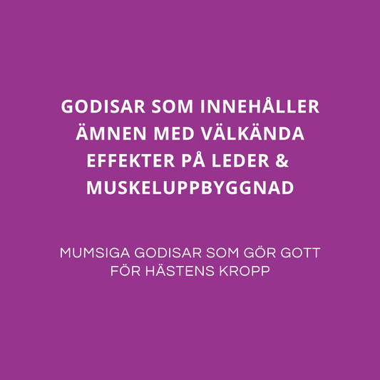 STARKA LEDER & MUSKLER - För uppbyggnad & underhåll