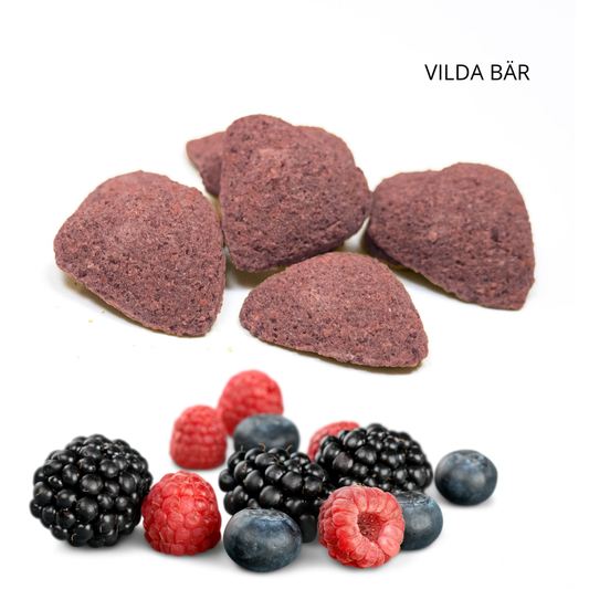 VILDA BÄR