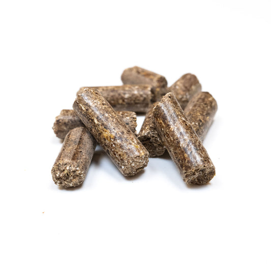 VITLÖK